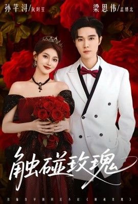 触碰玫瑰（凌晨四点半，玫瑰花未眠）全集完结(大结局)
