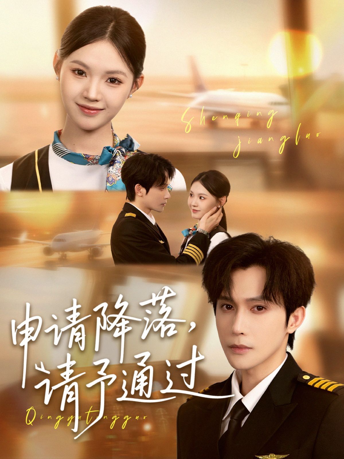 申请降落请予通过(全集)